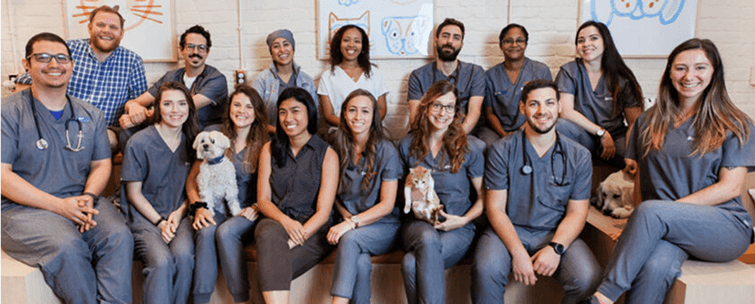 Doctors with team members