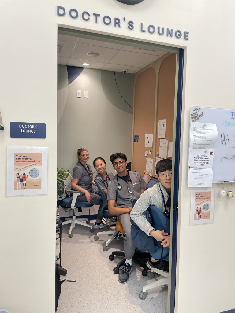 Bond Vet employees in the Doctor's lounge, working on their computers