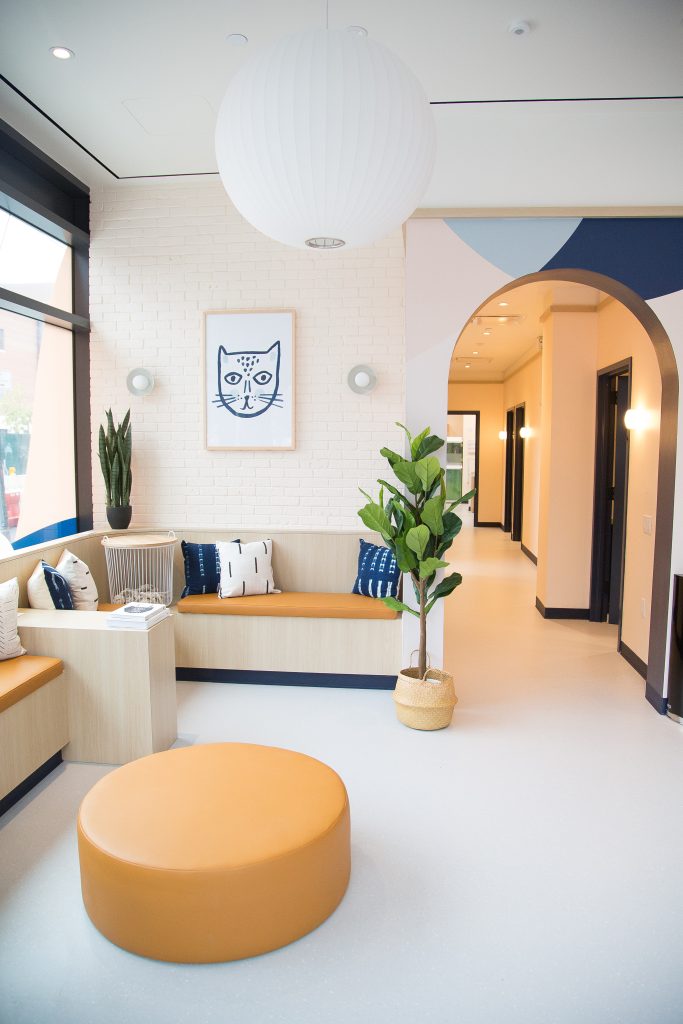 Bond Vet's clean and bright clinic lobby