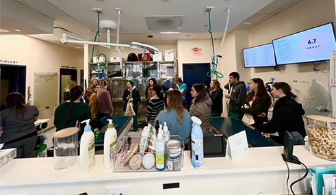 Students and new graduates attending a Bond Vet clinic tour