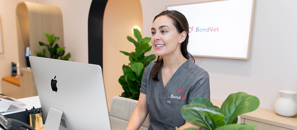 Bond Vet employee working at the reception desk